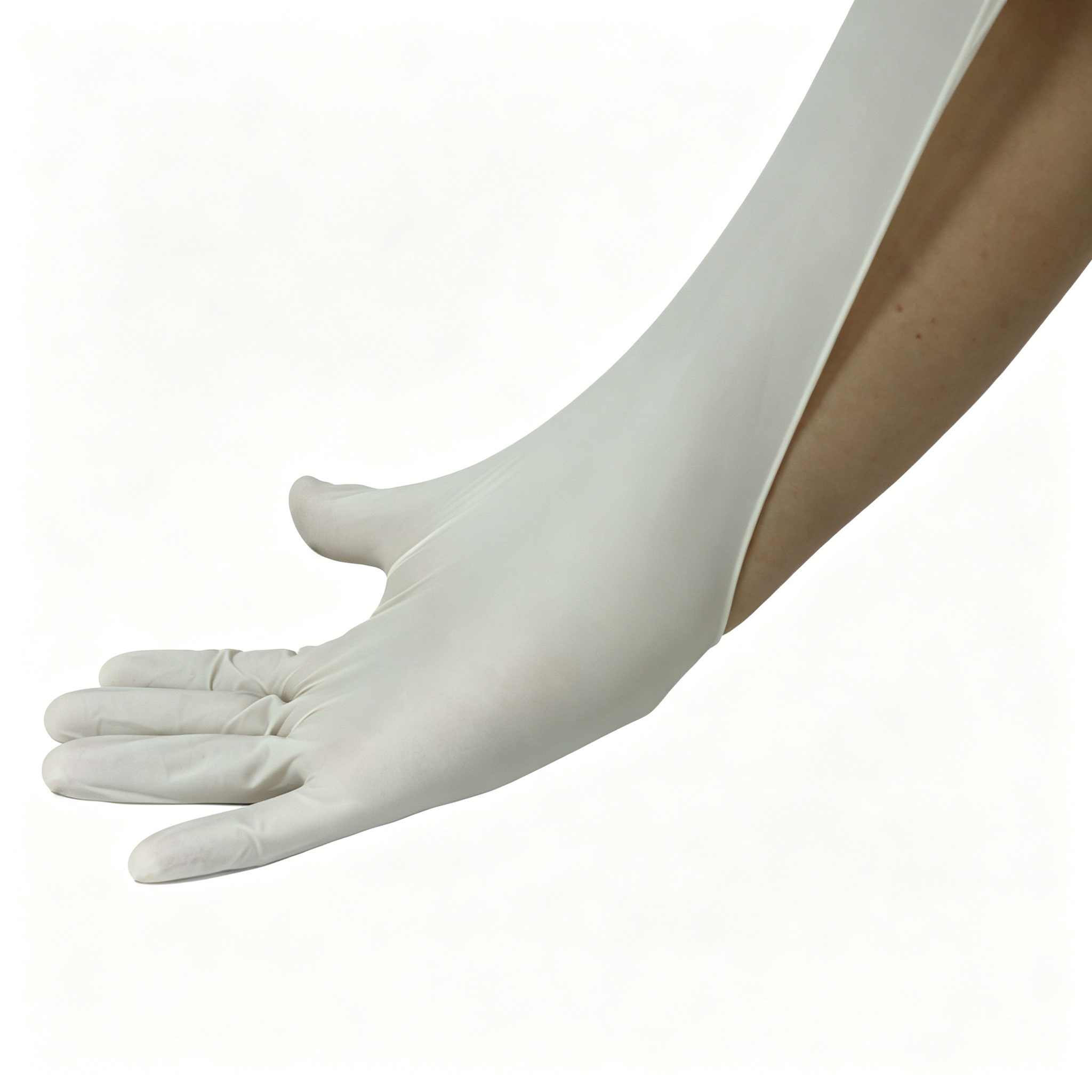 Disposable medical rubber exam – обзор и цена Latex Disposable Glove