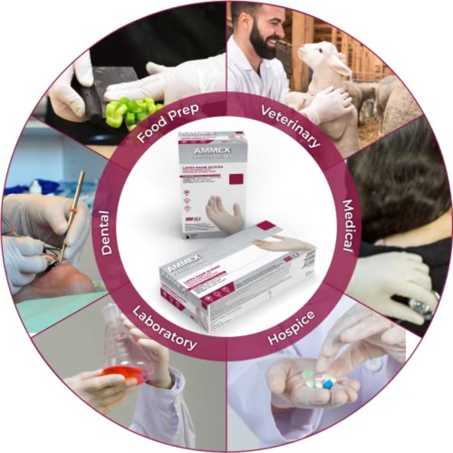 AMMEX White Latex Disposable E – обзор и цена Latex Disposable Glove