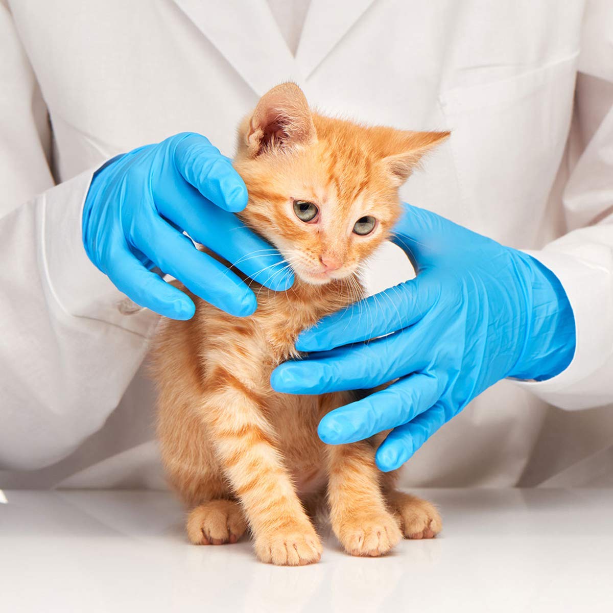 Latex-Free Blue Nitrile Exam G – обзор и цена Exam Glove Nitrile
